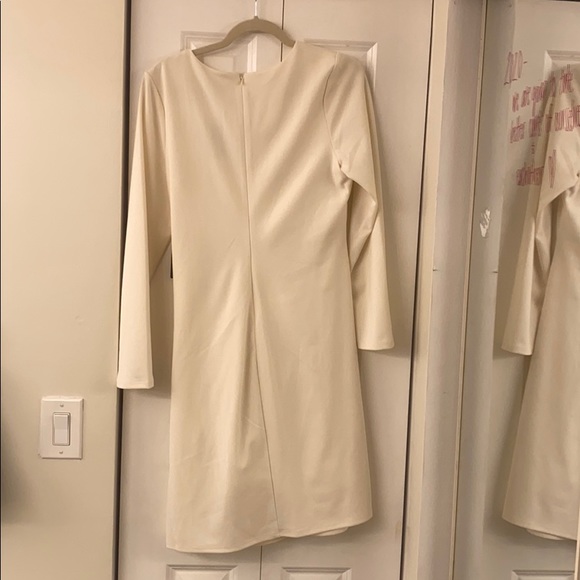 Express Dress - Picture 3 of 4